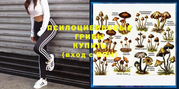 бутират Белокуриха