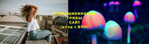 бутират Белокуриха