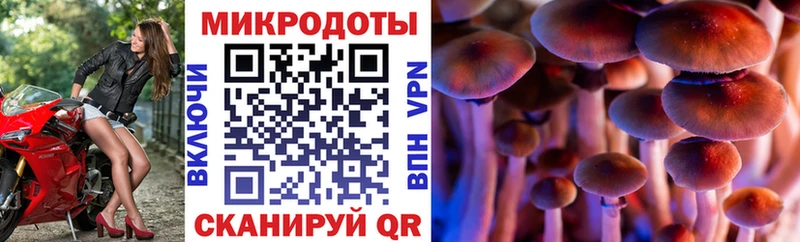 Псилоцибиновые грибы Cubensis Ува